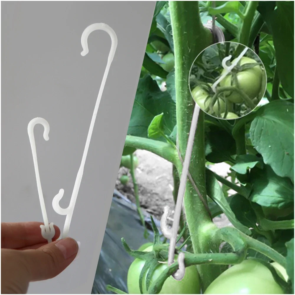 Vegetable Plant Support Vines Fastener Clips J Shaped Fruit Cherry Tomato Ear Hook Trellis Fixed Buckle Hook Garden Accesorries