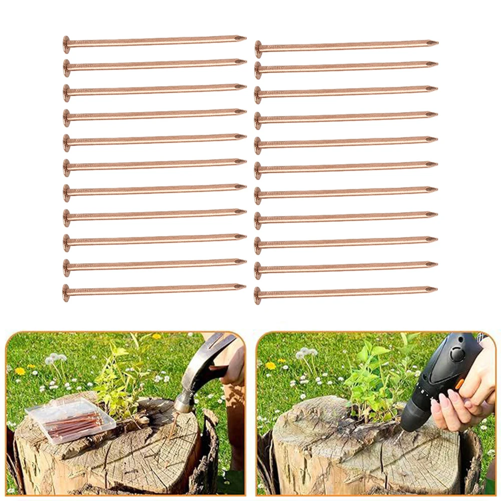 Copper Nails For Killing Trees Stump Root 3.5 Inch Pure Copper Spikes For Stump Removal Hardware Tree Killer Nails 22 Pack