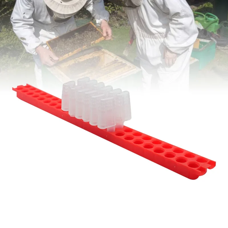 

Beekeeping Queen Rearing Shipping Bar Queen Banking Frame Bee Cage Box Transport Moving Isolator Queen Imprison Prisoner Cage