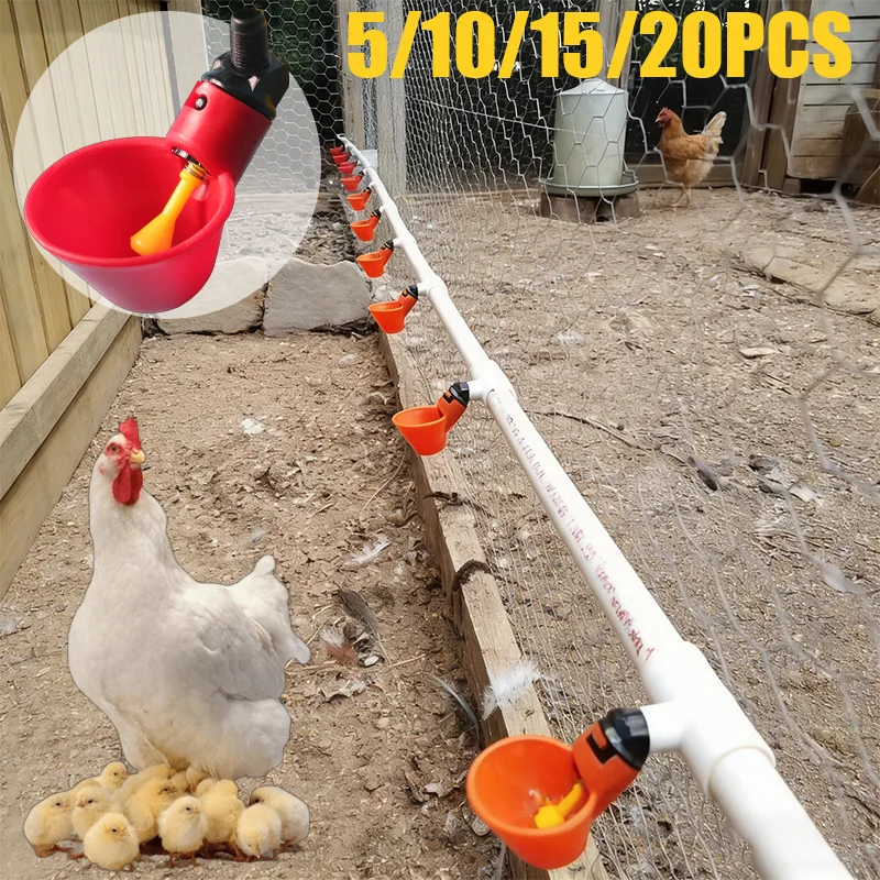 

5-20Pcs Automatic Poultry Water Drinker Cup Chicken Duck Goose Quail Water Feeder Bowl Backyard Farm Coop Drinking Supplies