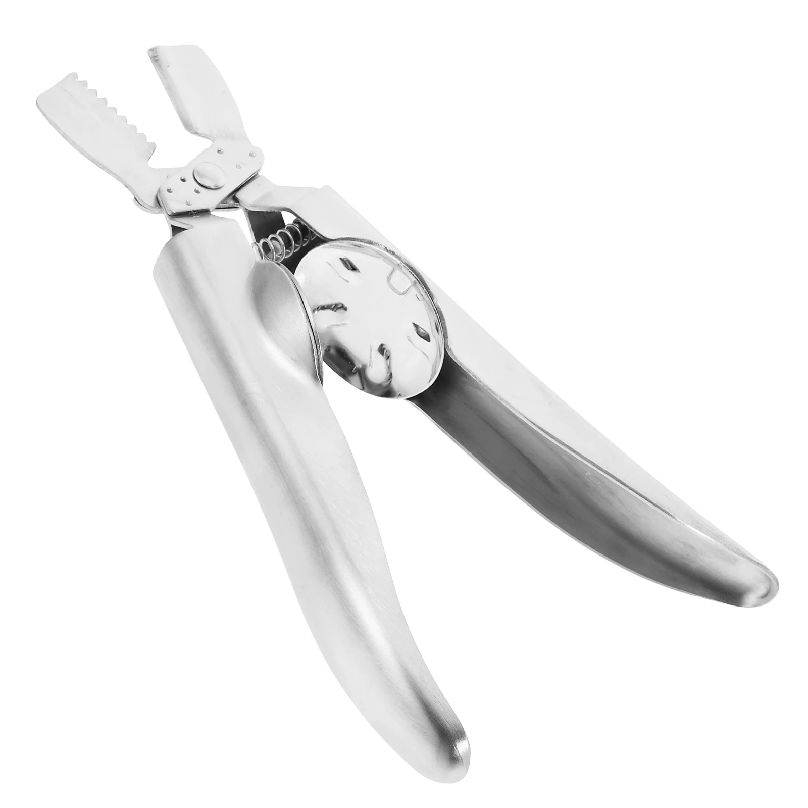 

1pc Stainless Steel Chestnut Opener Tool Nut Cracker For Walnuts Hazelnuts Pecans Dried Fruit Sheller Seafood Crab Lobster