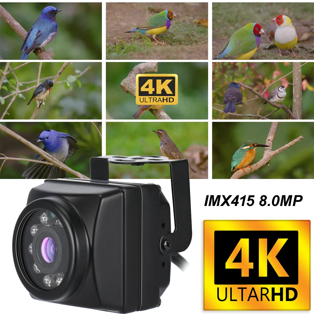 4K RTMP Bird Box Camera Kit Birdcage 8MP Night Vision Rtmp Stream Camera POE Mini IP Audio Pet Nest Watching Webcam for YouTube