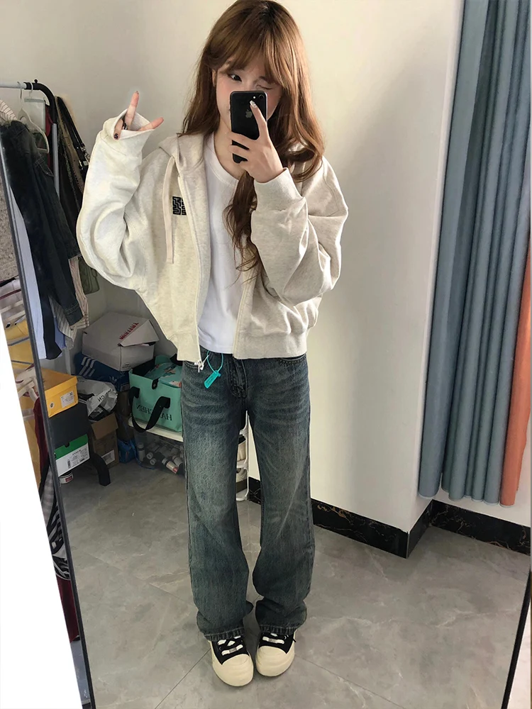 American Sle Ort Ey… - image