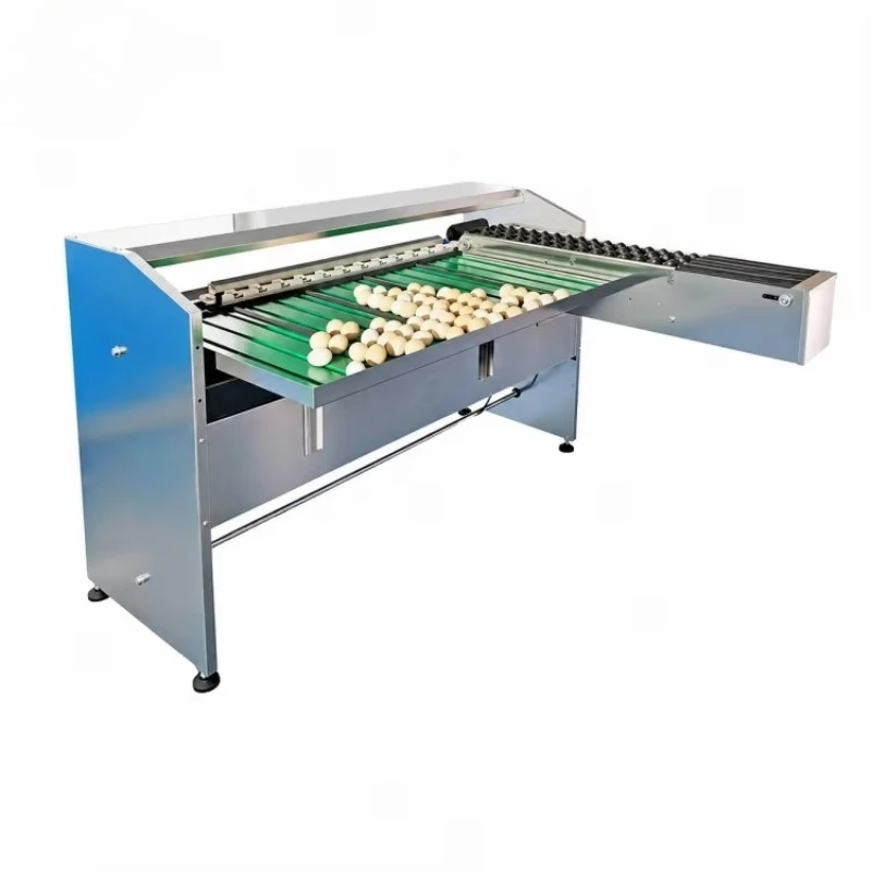 Eggshell Defects Checking Five Grades Egg Processing Machine 304 Stainless Steel Egg Sorter Egg Grader Machine for Sale