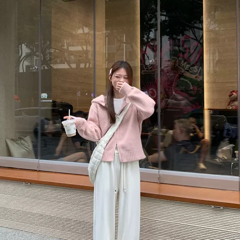 

Кардиганы с капюшоном, женские вязаные пушистые на молнии, простые, с напуском, нежная универсальная верхняя одежда, осенние свитера, мешковатые Ulzzang Aesthtic