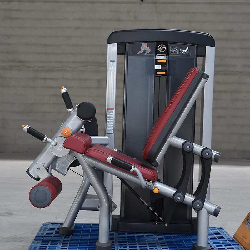 Popular Gym Equipment Commercial Setup Gym Equipment Full Set Sports Equipment for Gym Sports Club