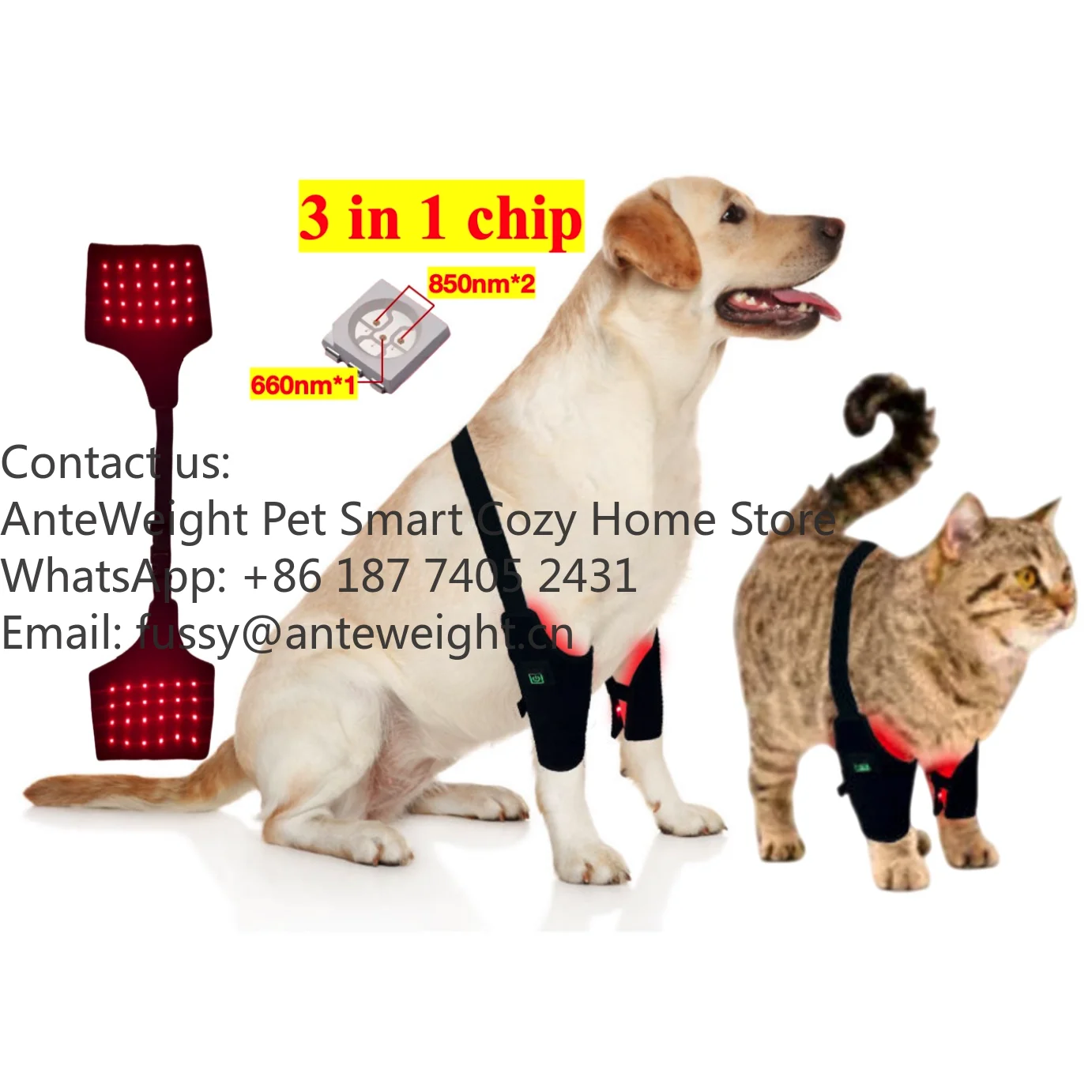 

Dog Cat Leg 40 Pcs 660nm PU Waterpoof 850nm Infrared Red Light Therapy for Dog and Horses Pet Therapy