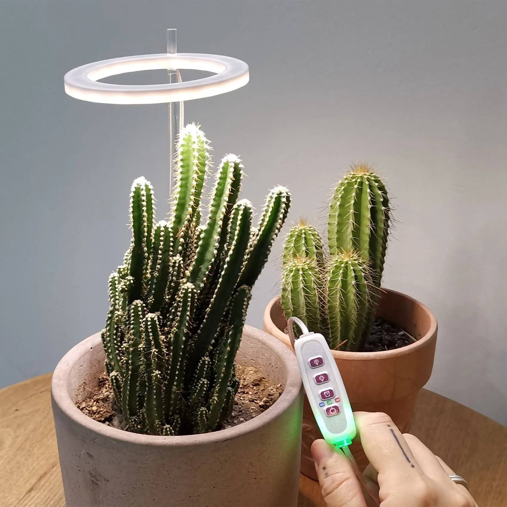 

-FTGT светодиодный светильник для выращивания растений, полный спектр, фитолампа для выращивания, USB-кольцевая лампа «Ангел» для суккулентов, роста цветочных растений