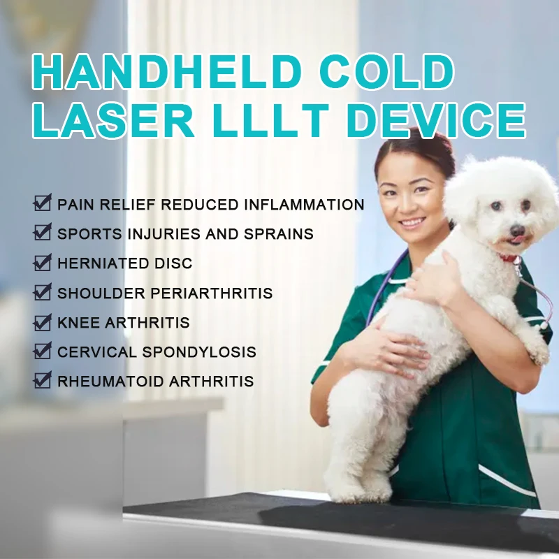 New Arrival Veterinary Instrument Cold Laser Therapy Device for Effective Home Treatment