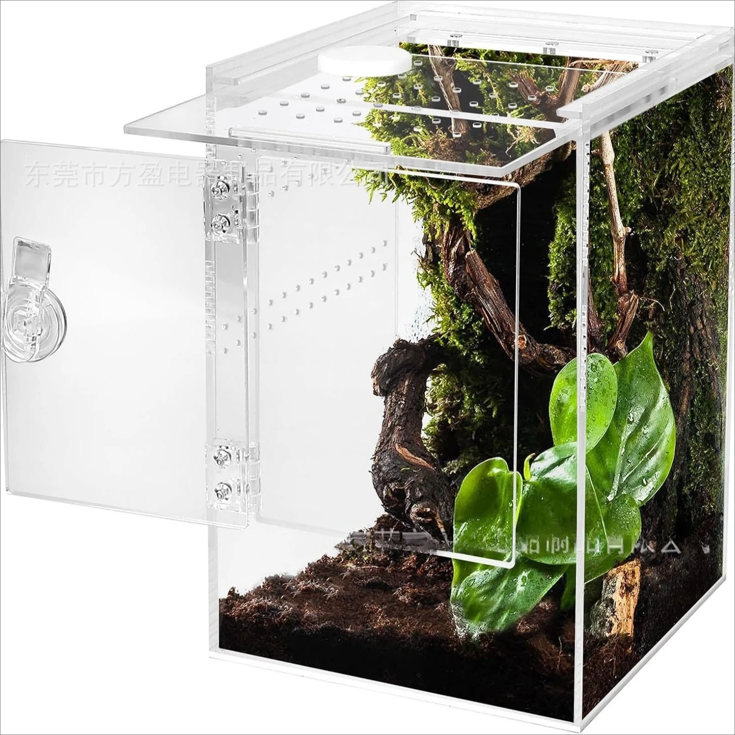 Jumping Spider Fence 6 * 6 * 9 Inch Micro Habitat Acrylic Feeding Box with Front Door