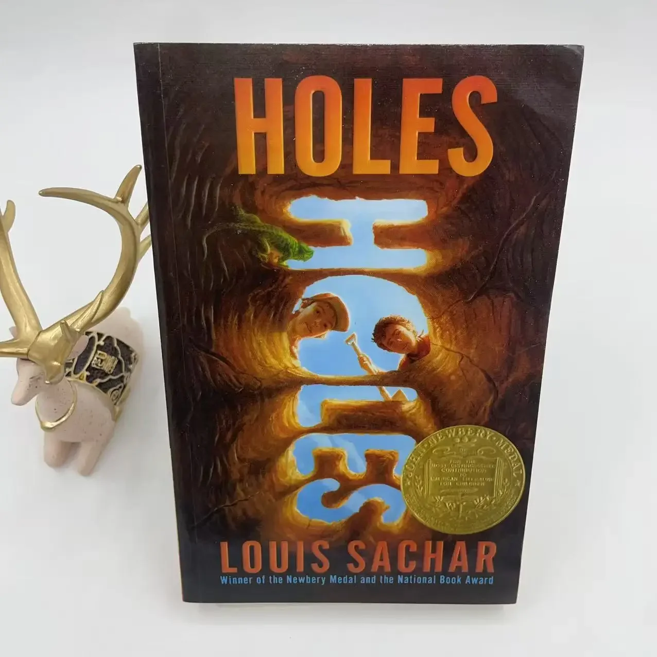 إصدار Holes Treasure-Hunting Kid من تأليف لويس ساشار |   كتاب الخيال المغامرة للأطفال الحائز على جائزة نيوبيري لا تنسى