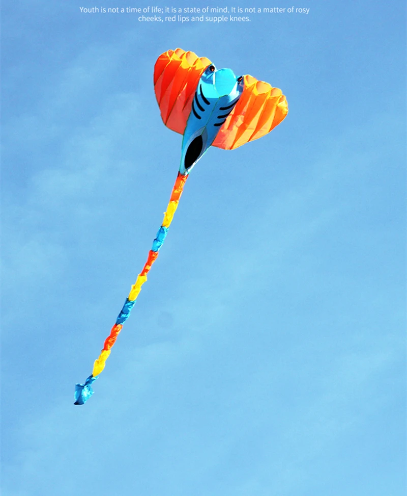 Ray vliegeren opblaasbare vlieger buitenspeelgoed zachte vliegers sport vliegers wiel volwassenen vlieger professionele wind vliegers fabriek weifang