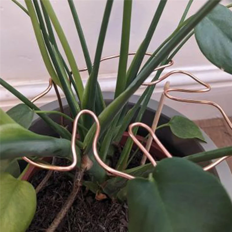 

AB33-Monstera-образная опора для растений, многоразовый прочный держатель для стеблей растений из сплава, поддержка фиксации растений, травы, овощи
