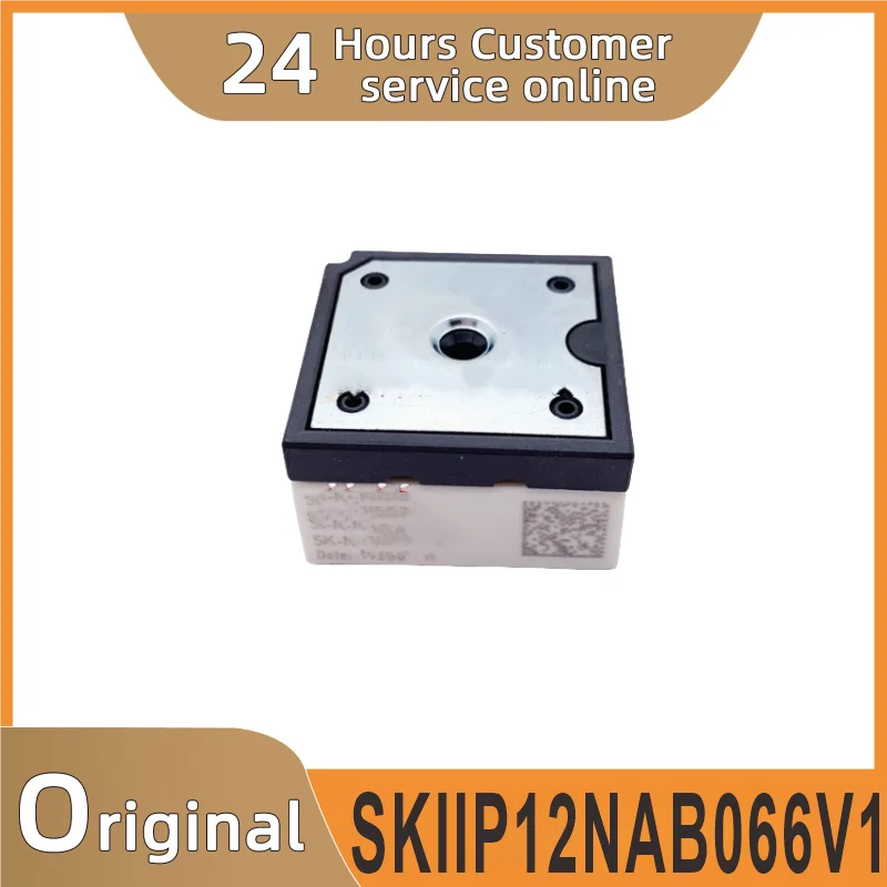 

SKIIP12NAB066V1 NEW MODULE.