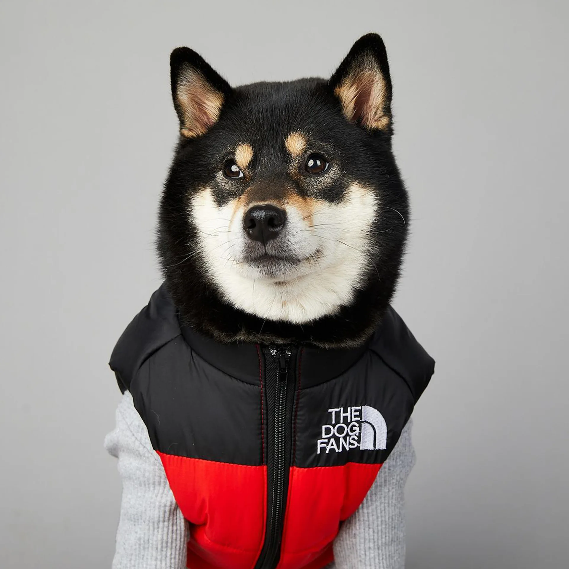 Hond Gezicht Punch Grote Honden Winter Warme Regenjas Anti Huisdier Katoenen Kleding Winddichte Regenbestendige Hondenjas