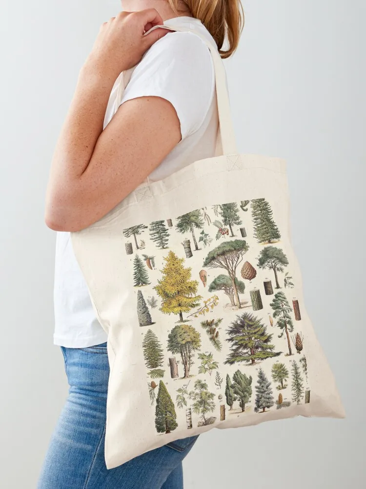 Adolphe Millot Evergreen Trees Vintage Scientific Illustration Encyclopedia Labeled Diagrams Tote Bag large tote bag