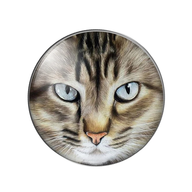 New Cat Face Patterns 10pcs mixed 12mm/14mm/16mm/18mm/20mm/25mm Round photo glass cabochon flat back Making findings
