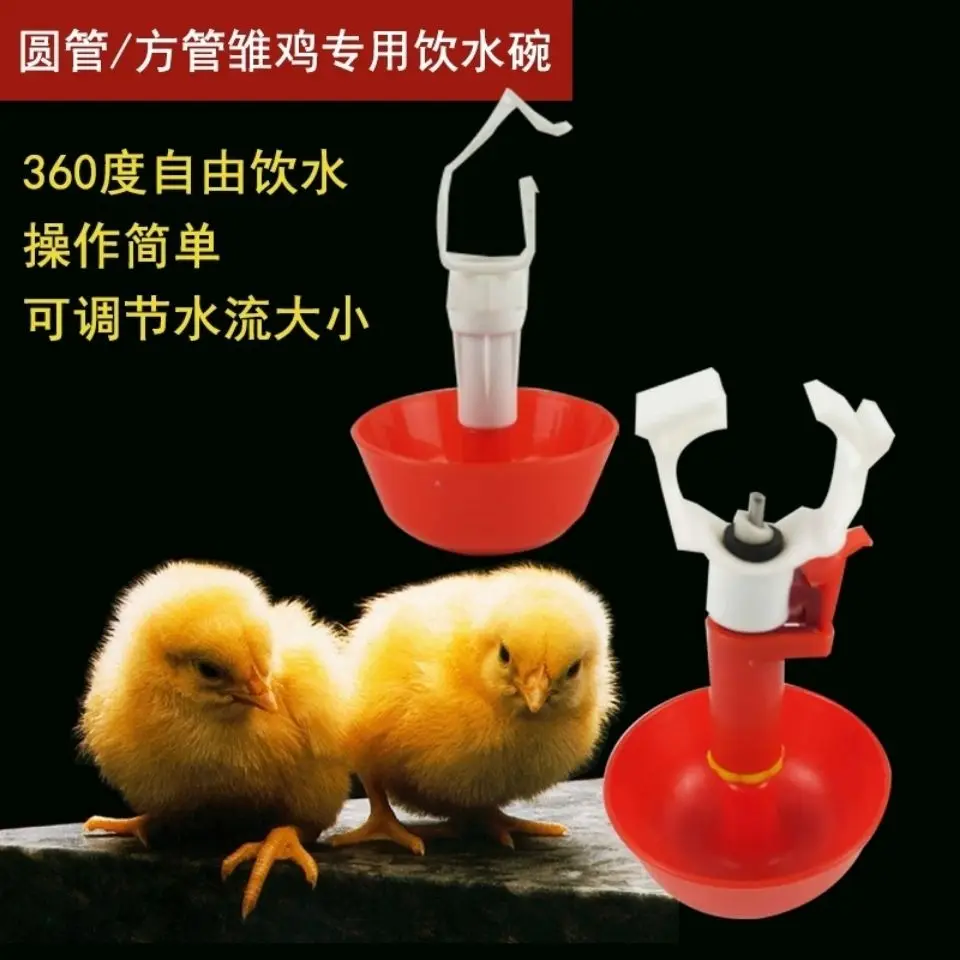 Brooding Automatic Water Bowl  Chick  Dispenser Nipple R Bowl  Receiving Chick Hanging Hanging Cup, Round Integr