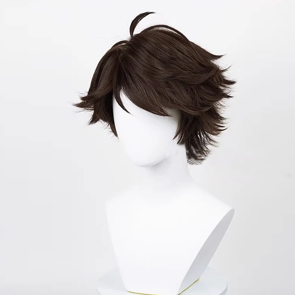 RANYU Men Synthetic Wig Short Straight Wavy Brown Anime Cosplay Fluffy Hair Heat Resistant Wig for Party