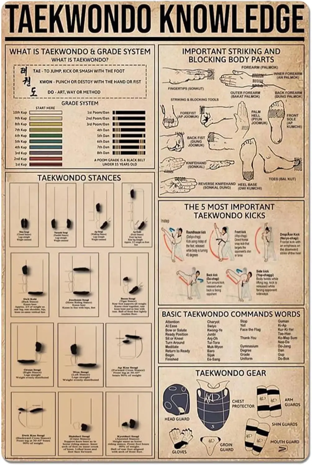 Taekwondo Knowledge Metal Tin Sign Taekwondo Stances Anatomy Infographic Poster for Athlete School Education Club Home Kitchen G