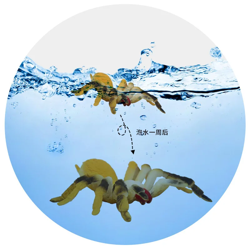 Crianças brinquedos de insetos cognitivos simulação aranha besouro lagarto modelo pode ser embebido na água para expandir criativo engraçado spoof brinquedos