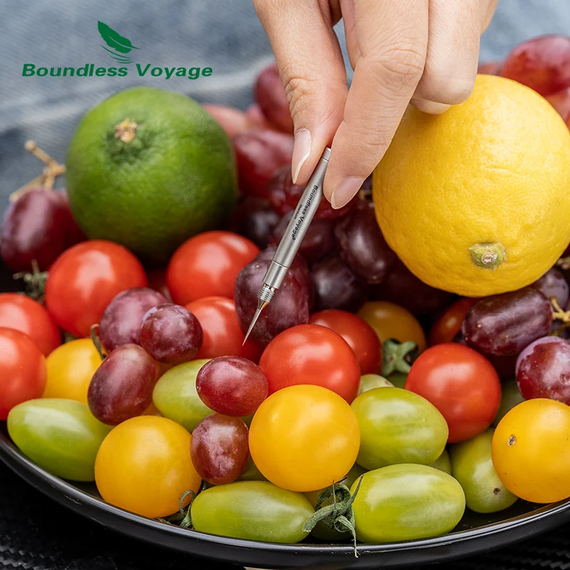 Boundless Voyage Porta stuzzicadenti portatile in titanio Rimozione del cerume Strumenti per la cura personale Strumenti multifunzionali per esterni Ti9008O