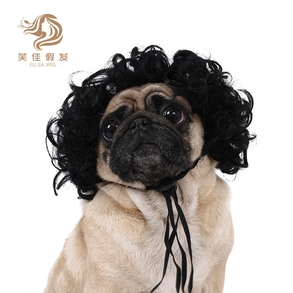 Pet wigs Dog wigs pet supplies Halloween pet accessories Curly hair Straight  Cat wigs