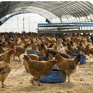 

Household Multi-Purpose Grain Grinder - Easy To Operate For Corn/Rice/Soybean/Spices, Adjustable Fineness