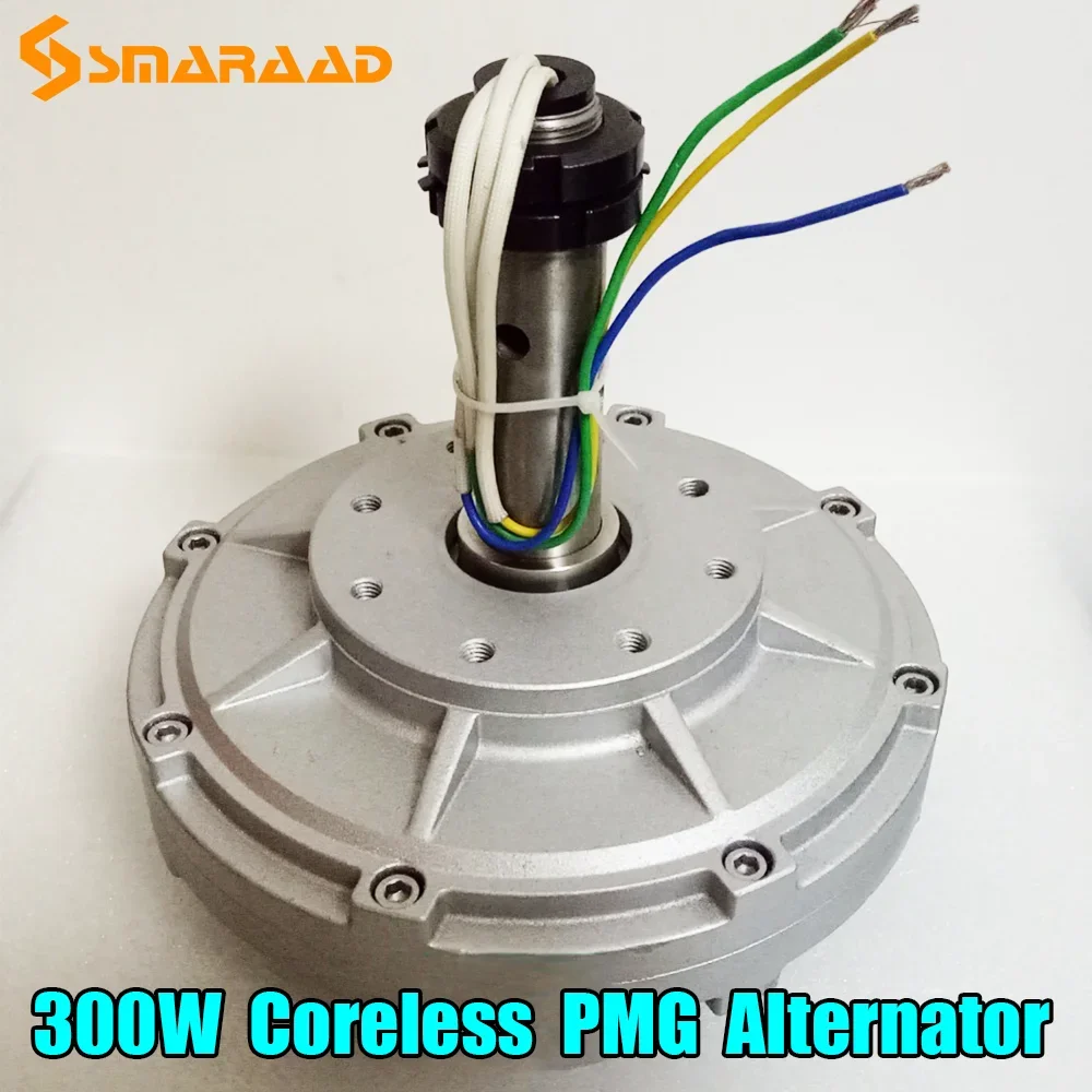 China Factory Low Speed 100w 200w 300w 12V 24V 48V  Gearless Permanent Magnet Generator Use For Wind Turbine Low RPM