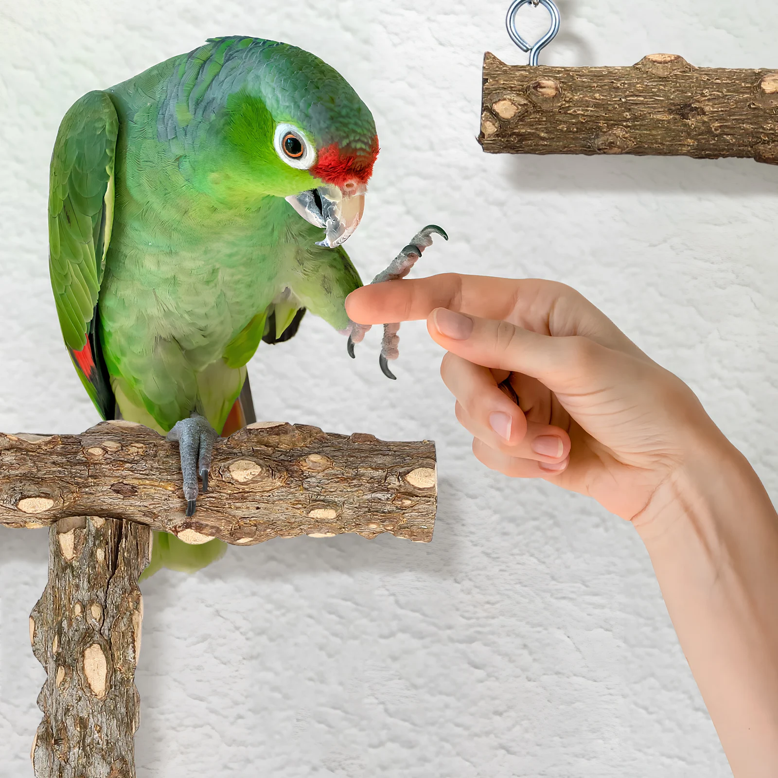 

4 Pcs Bird Perch Platform Swing Bath Accessories for Parrot Cages Wood Perches Comfortable Design Easy Installation Safe