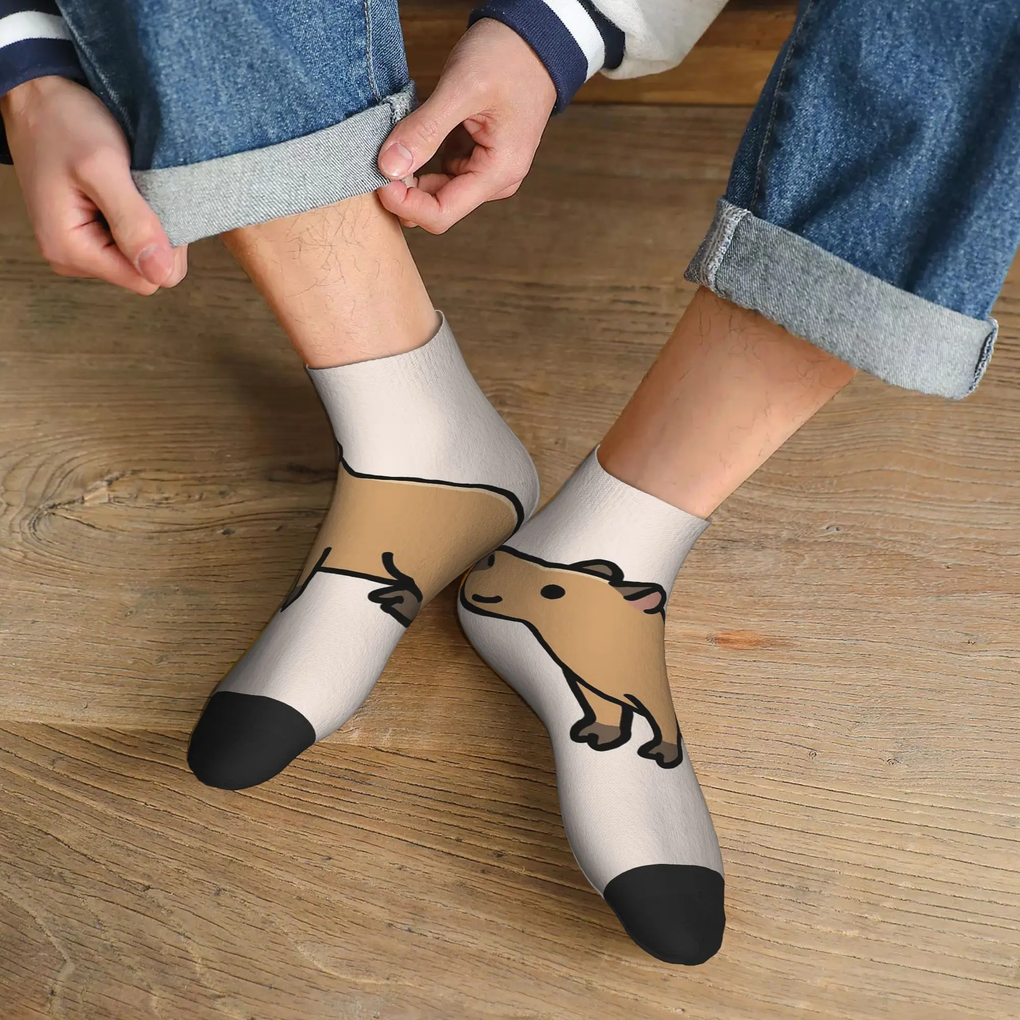 

Всесезонные носки с капибарой в стиле Харадзюку, впитывающие пот спортивные носки средней длины, мягкие повседневные чулки для мужчин и женщин, подарки