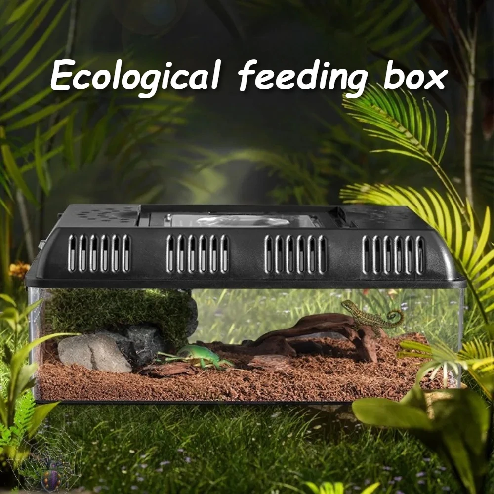 

Питомник для ящерицы, портативный прозрачный питомник для рептилий, террариумы, дизайн увеличительного стекла, дышащая клетка для рептилий, принадлежности для геккона, ящерицы