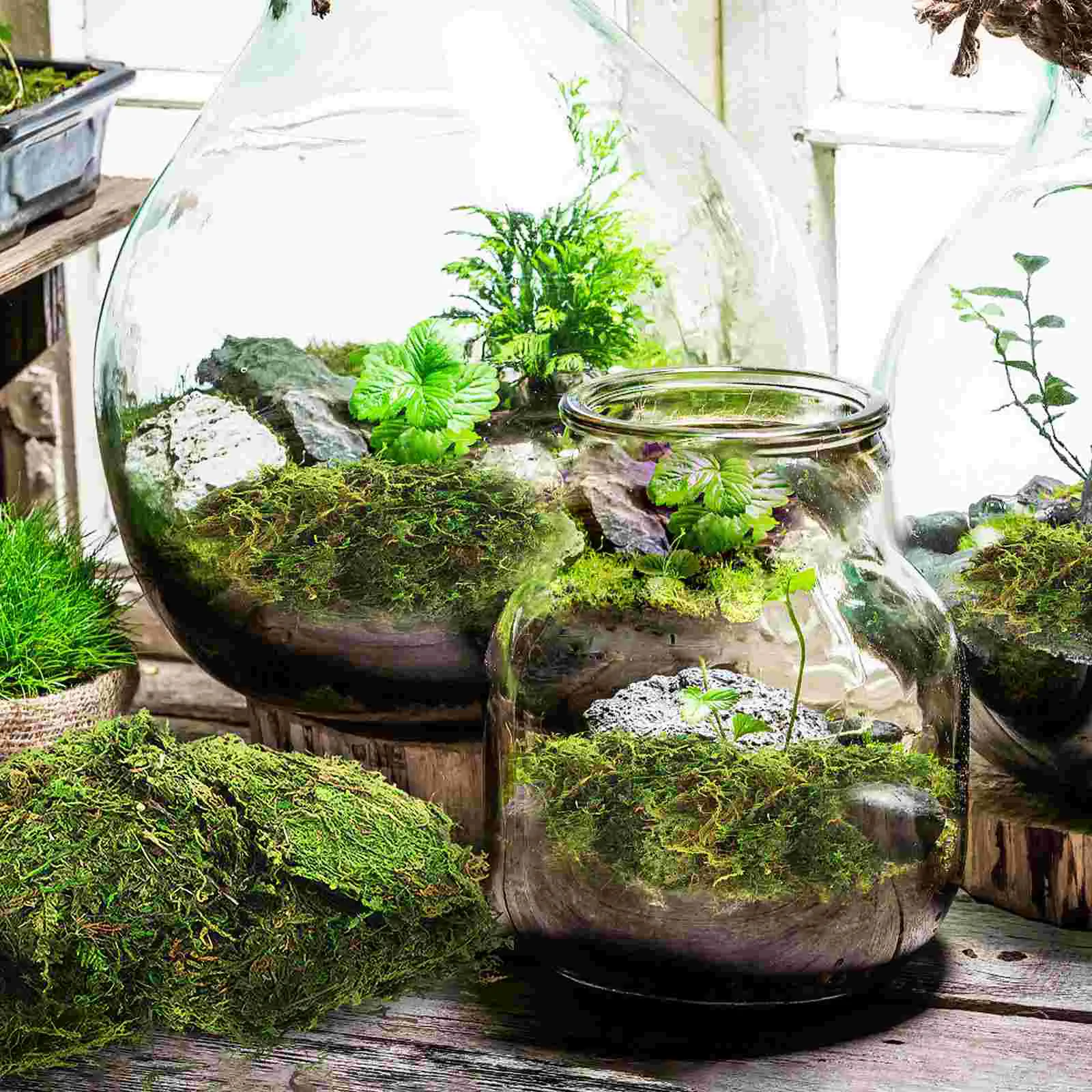 Fairy Garden Moss Green Stained Artificial Plants Indoor Terrarium Preserved Flower Faux For