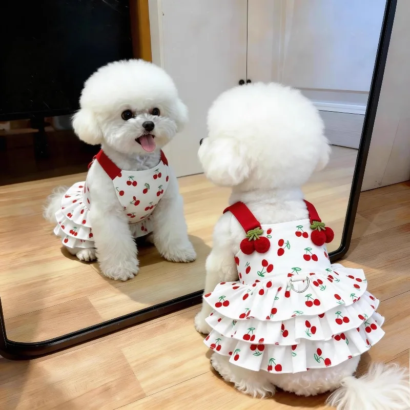 Sommerkleidung für kleine Hunde, dünnes, atmungsaktives Prinzessinnenkleid
