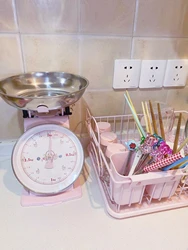 Retro Household Baking Spring Tray Stainless Steel Antifouling Kitchen Scale Experiment Teaching Mechanical Platform Scale