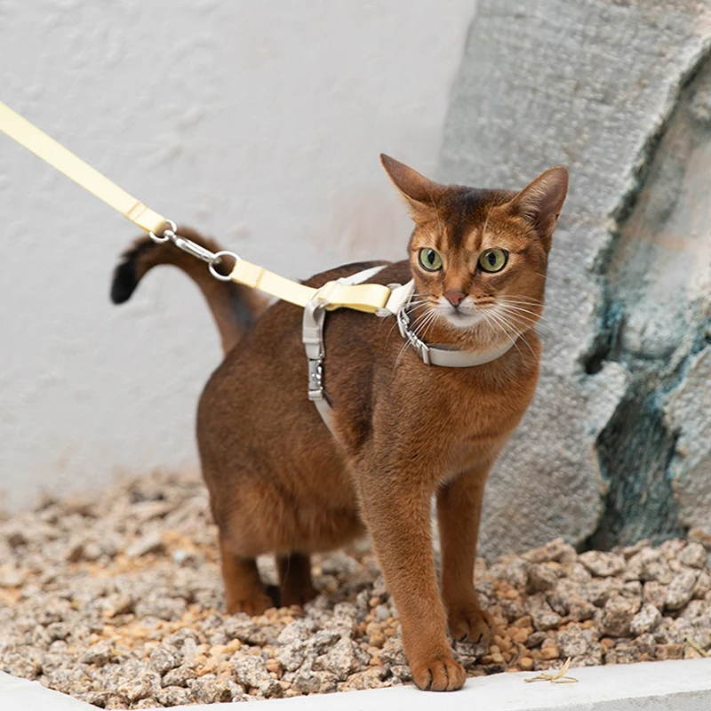 

Cat Harness Leash Set Adjustable I-shaped Walking Cat Rope Chest Strap Pet Outdoor Supplies Breathable Harness Leash Puppy Cat