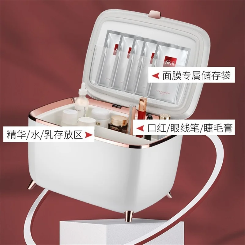 New 9L Beauty Refrigerator Silent Mini Home Cosmetics Storage with Temperature Control for Home or Car Use