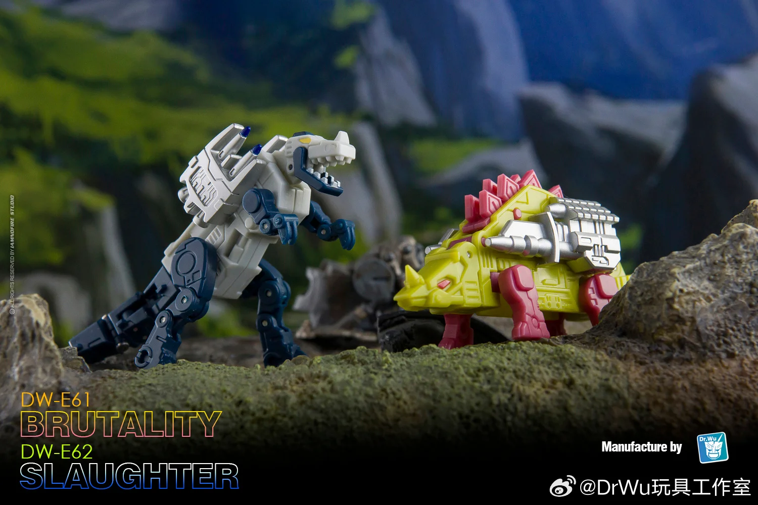 Dr.Wu Transformatio… - image