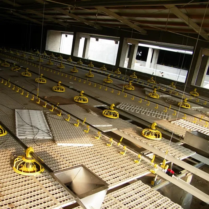 New Plastic Poultry Chain Feeding System Chicken Feeding Line Modern Environment Controlled Feeding Equipment
