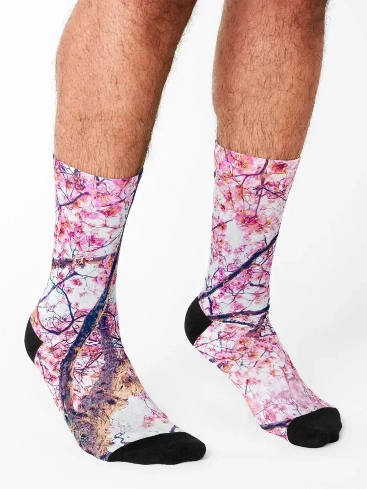 Sakura Japanese Cherry Blossom Tree Socks funny gift summer Crossfit snow Men Socks Women's
