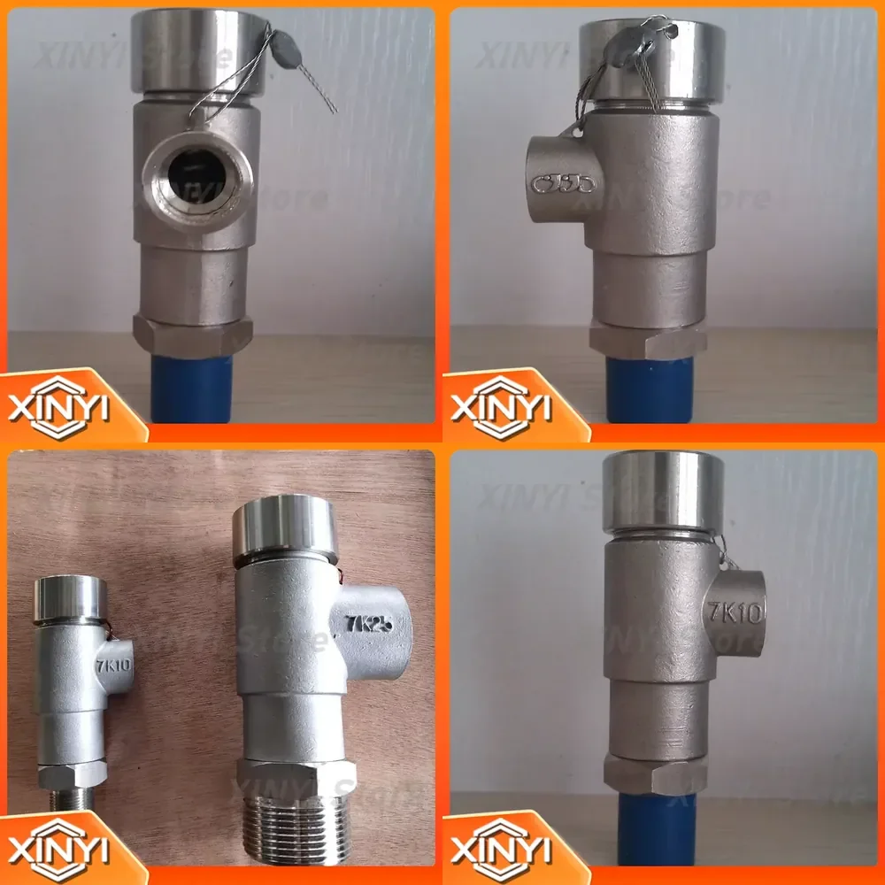 for DA21F-16P stainless steel low temperature micro opening safety valve for industrial pressure control HVAC plumbing