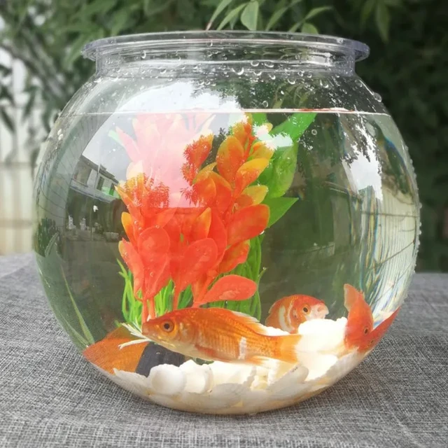 Large glass goldfish bowl hotsell