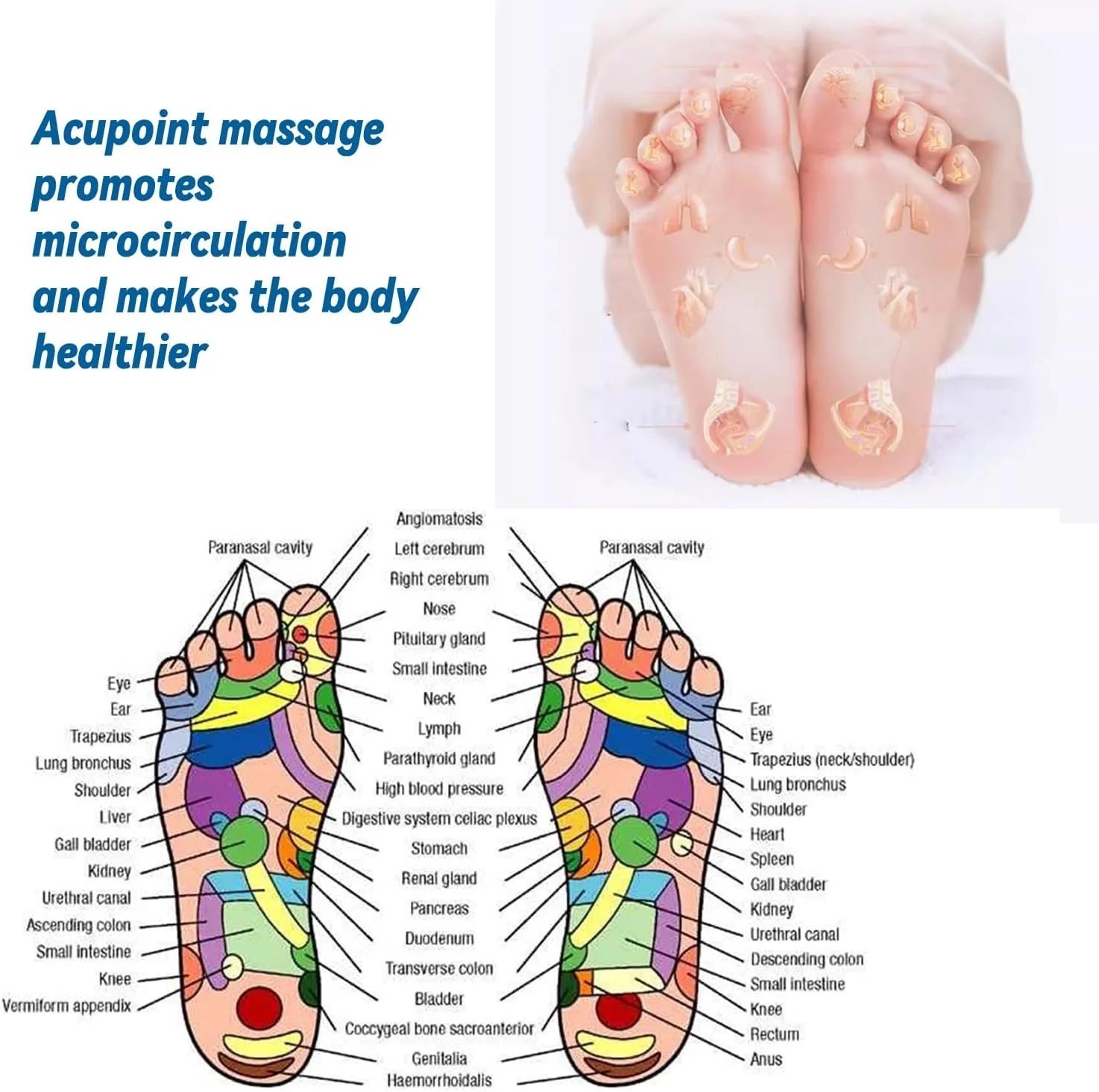 1 Pair Magnetic Therapy Foot Acupressure Insole Men Women Magnet Massage Sports Cushion Inserts Relaxation Insole Comfort Soles
