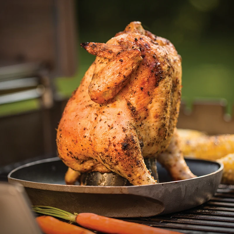 Outdoor supplies, camping, multifunctional roasted chicken, roasted duck, and poultry grill plates