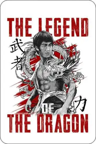 1e,The Legend of the Dragon II sign Metal funny man cave house decor A80
