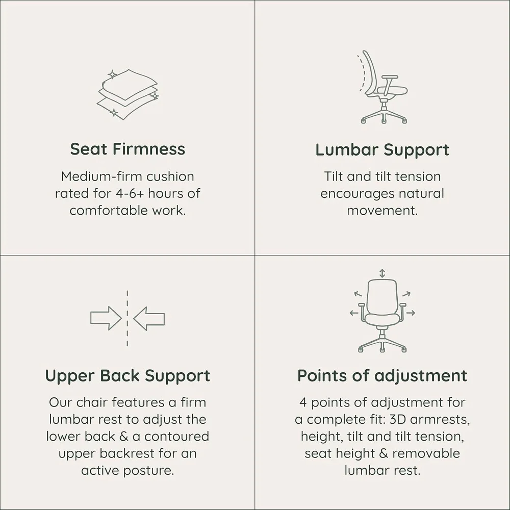 Silla diaria - Silla de oficina para computadora con reposabrazos giratorio, lumbar y reposabrazos ajustables: malla sostenible, elegante y ajustable