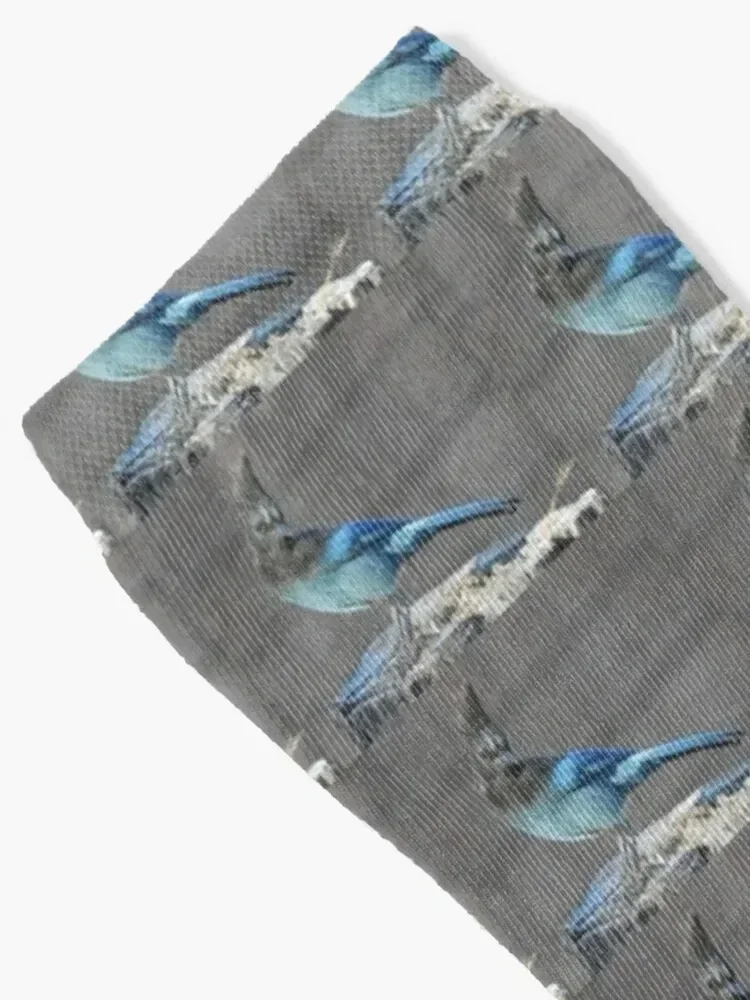 Wild birds, Stellar's Jay, wildlife, blue jay Socks christmas gifts short Socks For Man Women's