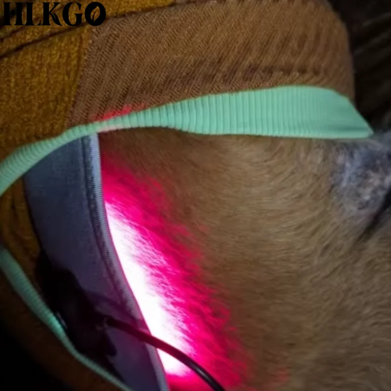 Medical Grade Red Light Therapy for Dogs Cats Joint Pain Relief Infrared Light Physiotherapy Equipment Home Recovery