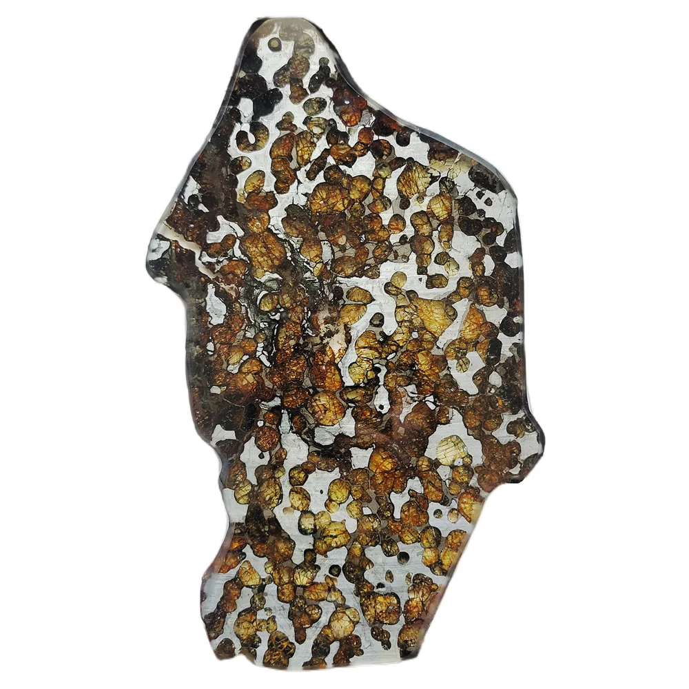 

Brenham Olive Meteorite Slice Pallasite Olive Meteorite Specimen Natural Meteorite Material Specimen Collection