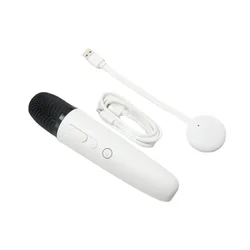 Auto Type-C Charge Karaoke Mic microfono Wireless con ricevitore per BYD ATTO 3 YUAN PLUS TANG DMi Song Qin Plus Han EV